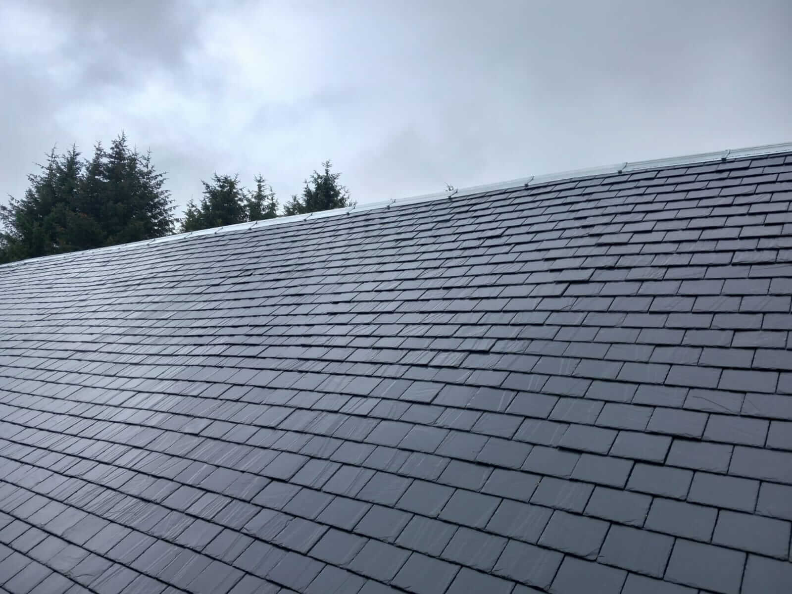 roof repair specilaists falkirk